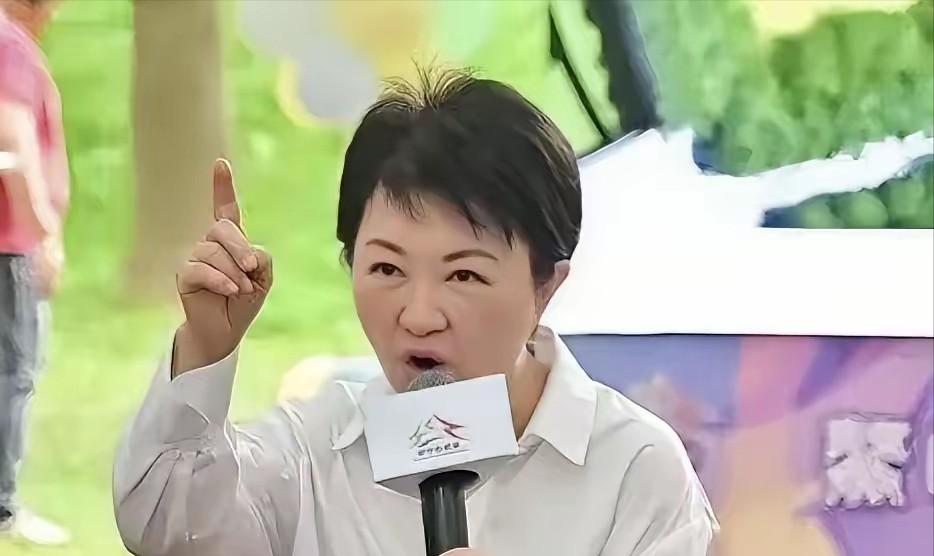 关于台湾军购预算，卢秀燕终于明确摊牌，令人目瞪口呆！

5月7日，台中市长卢秀燕