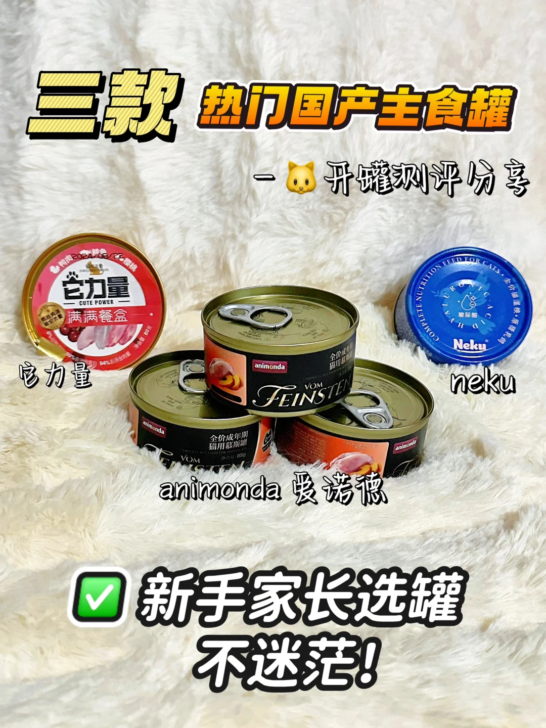 🐈国产主食罐分享～新手养猫不迷路！
