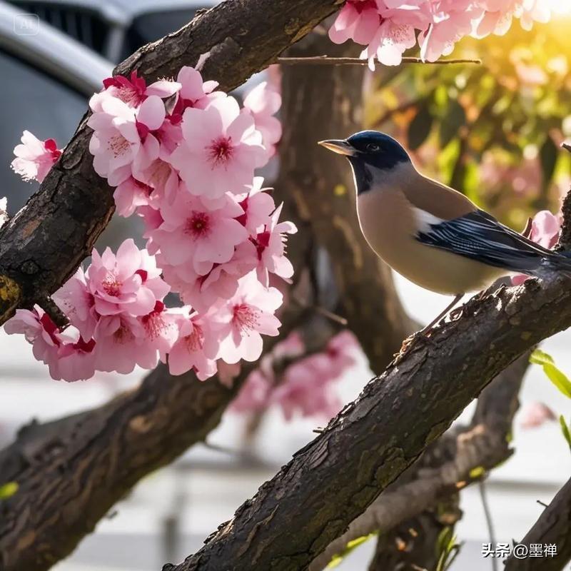 发现一个规律：
有些媳妇眼里的公婆，
是一个“薛定谔的存在”。

需要钱的时候—