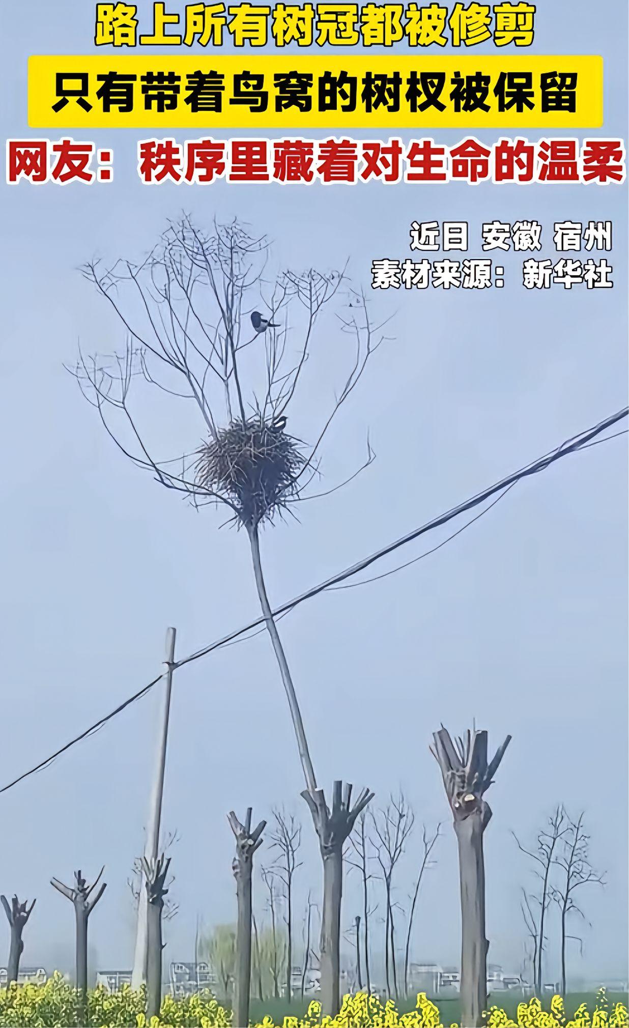 有图有真相。
      伟大的国家能为卑微的生命停下脚步，看看“美式童话”到底