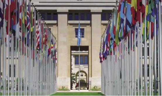 美国突然弃权，中国反对无效，俄罗斯也遭碾压，联合国高票通过日本提案的背后到底有什