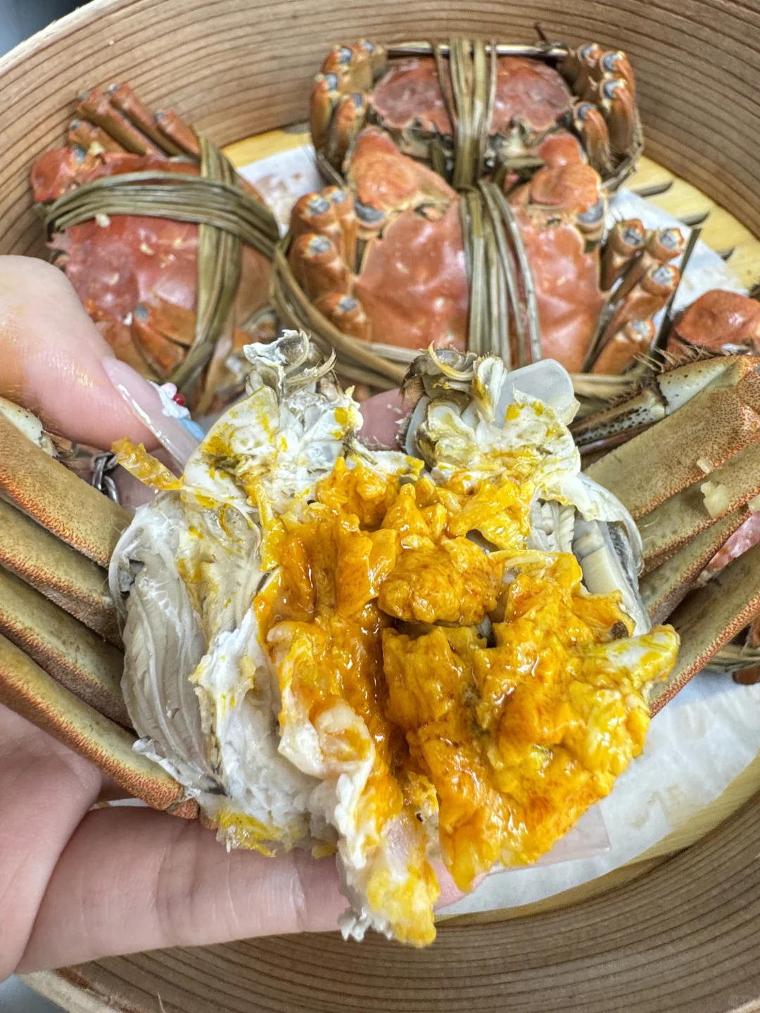 苏州小孩的噩梦来了！！