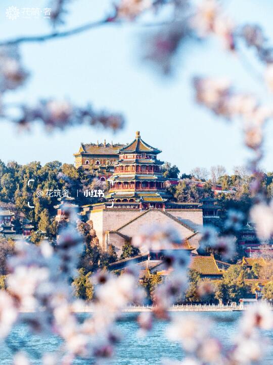 北京春日限定 | 踏青赏花地图一键get🌸