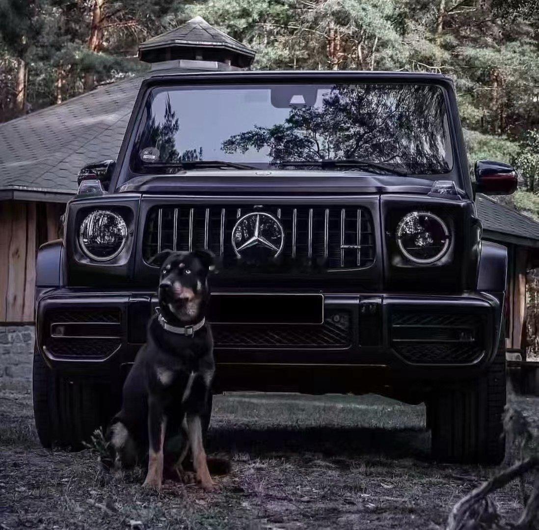 大G不是很喜欢 ​​​