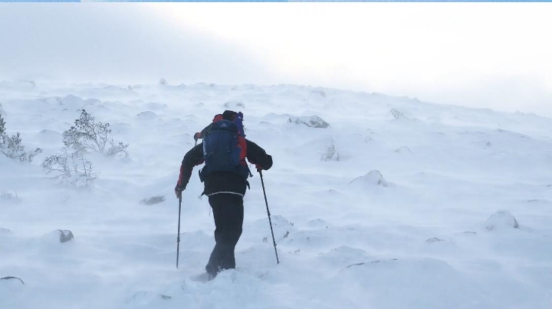 你是否曾在低谷中挣扎，期待时间能冲淡一切？但真相是，能拉你出谷底的，从来不是时间