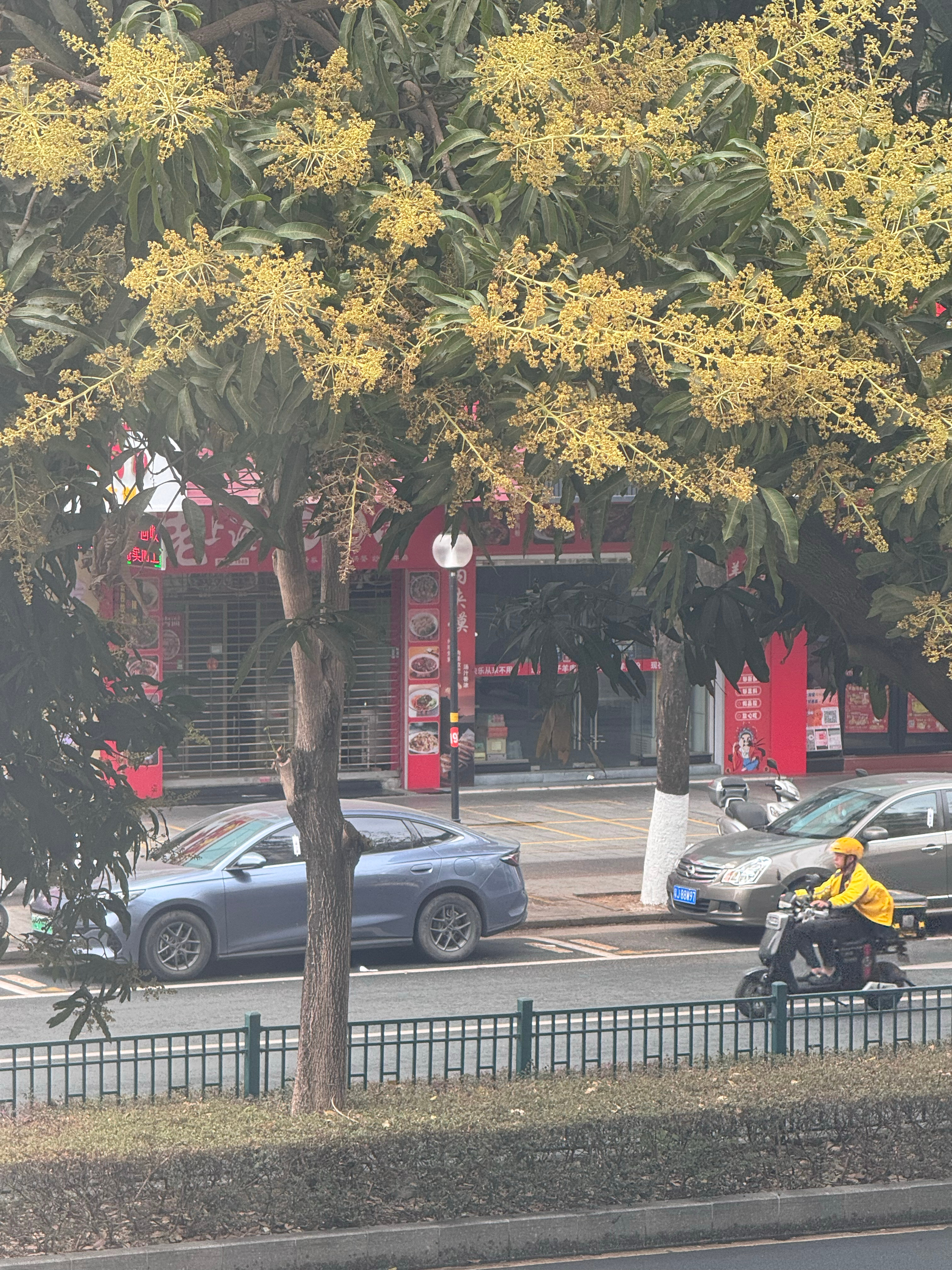 生活手记我都开工四天了，“食堂”还在放假是什么意思