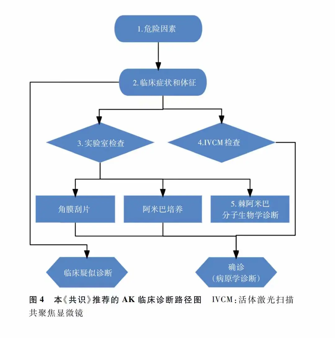 最近遇到的阿米巴角膜炎的孩子比较多，大家可以看看这个