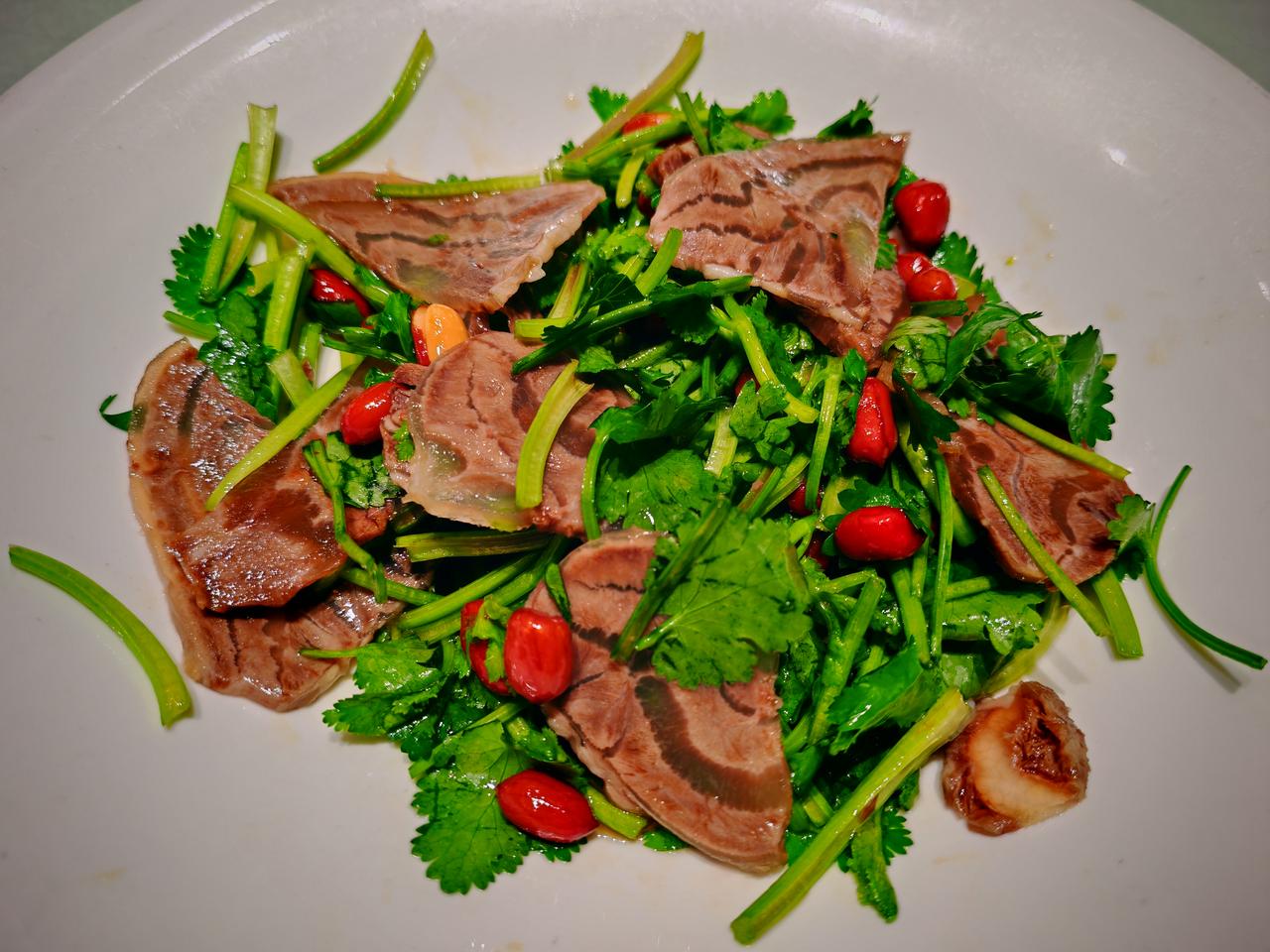 天南地北大拜年