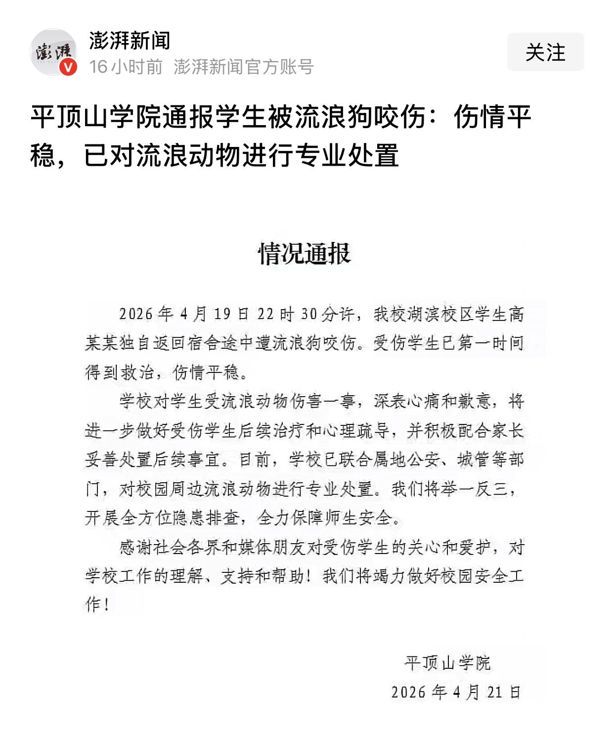 平顶山学院流浪狗伤人代表着高校流浪狗管理已经进入一个死循环：流浪狗影响安全+保安