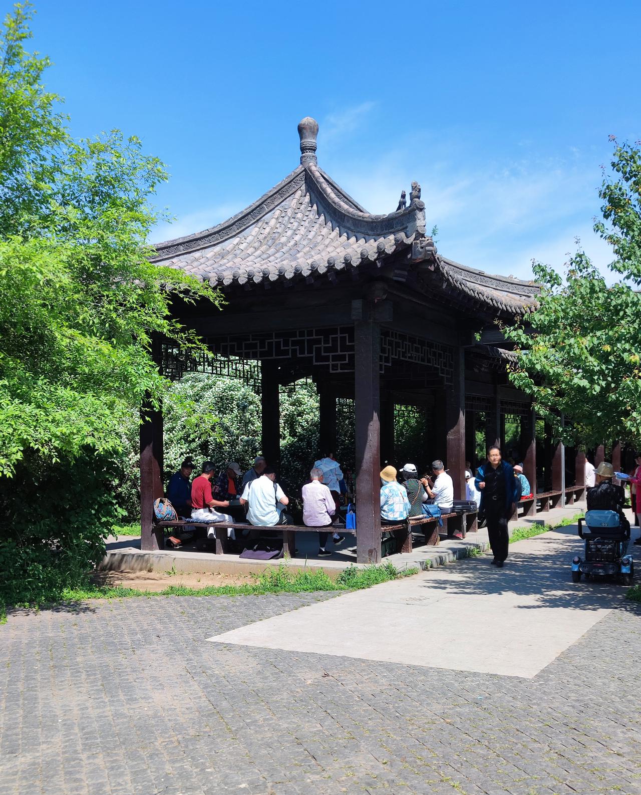 公园里的娱乐人们。夏日时节，沈阳万泉公园的长廊中，人们有的围坐在一起听唱歌，有的