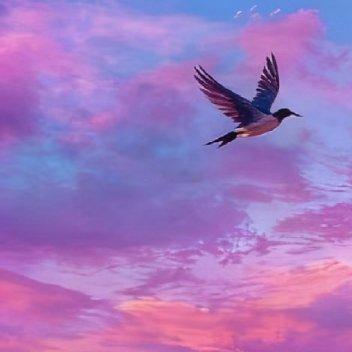 每日一善 每日一善 阳光信用 阳光，是前行的火，点亮我们前行的灯；阳光，是前行的