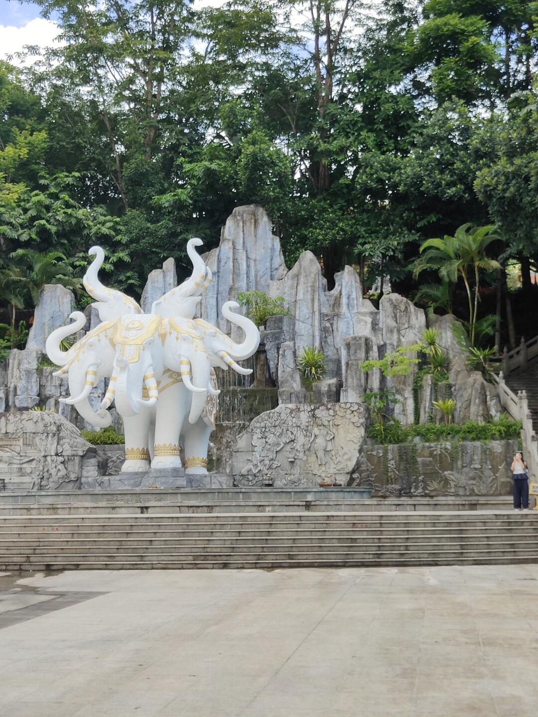 版纳的风