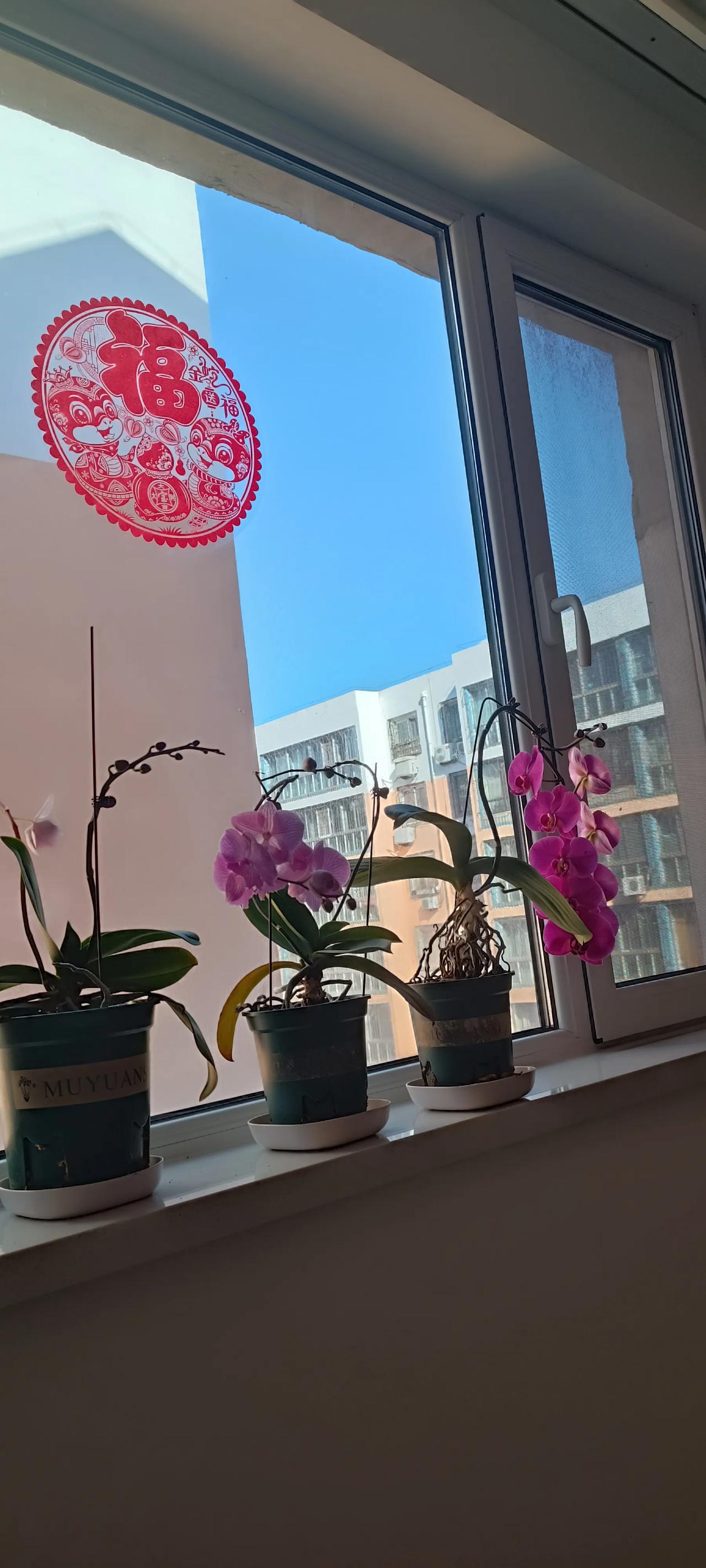 人有时候就是犯贱
晴天时想下雨
雨下多了又想晴天
已经两天没看到太阳了
今早拉开