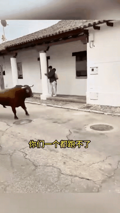 牛大哥：汝安敢藐视我？[发怒]