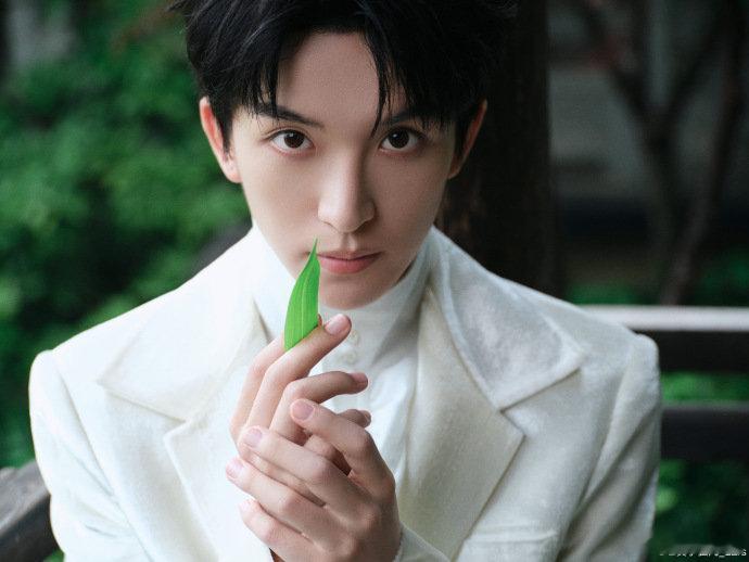 黄子弘凡治疗老鼠干黄子弘凡专属抽象治疗法上线，乱缝乱裹一通，主打一个重在参与忙忙