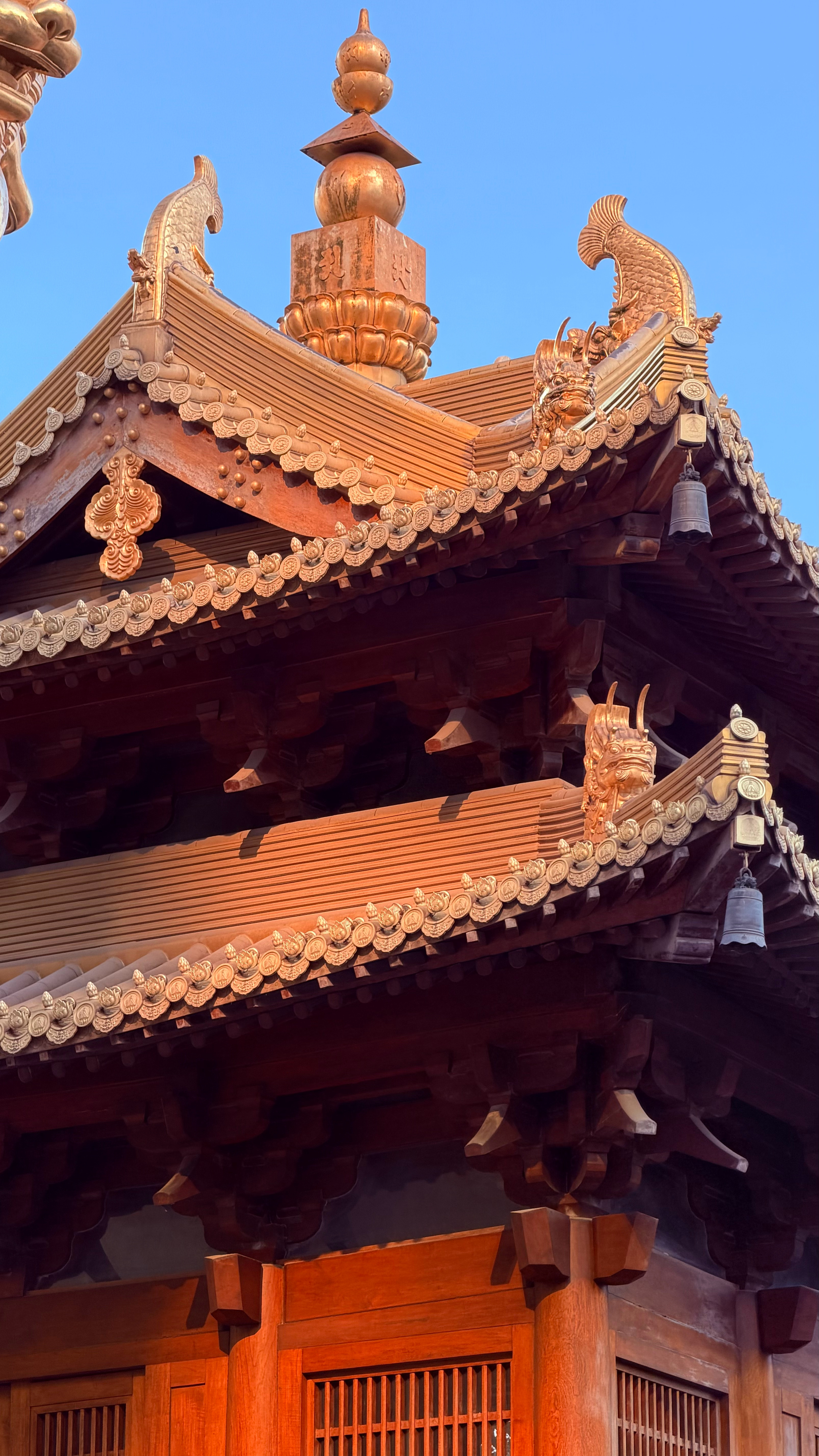 新的一周开始啦！早☀️ 