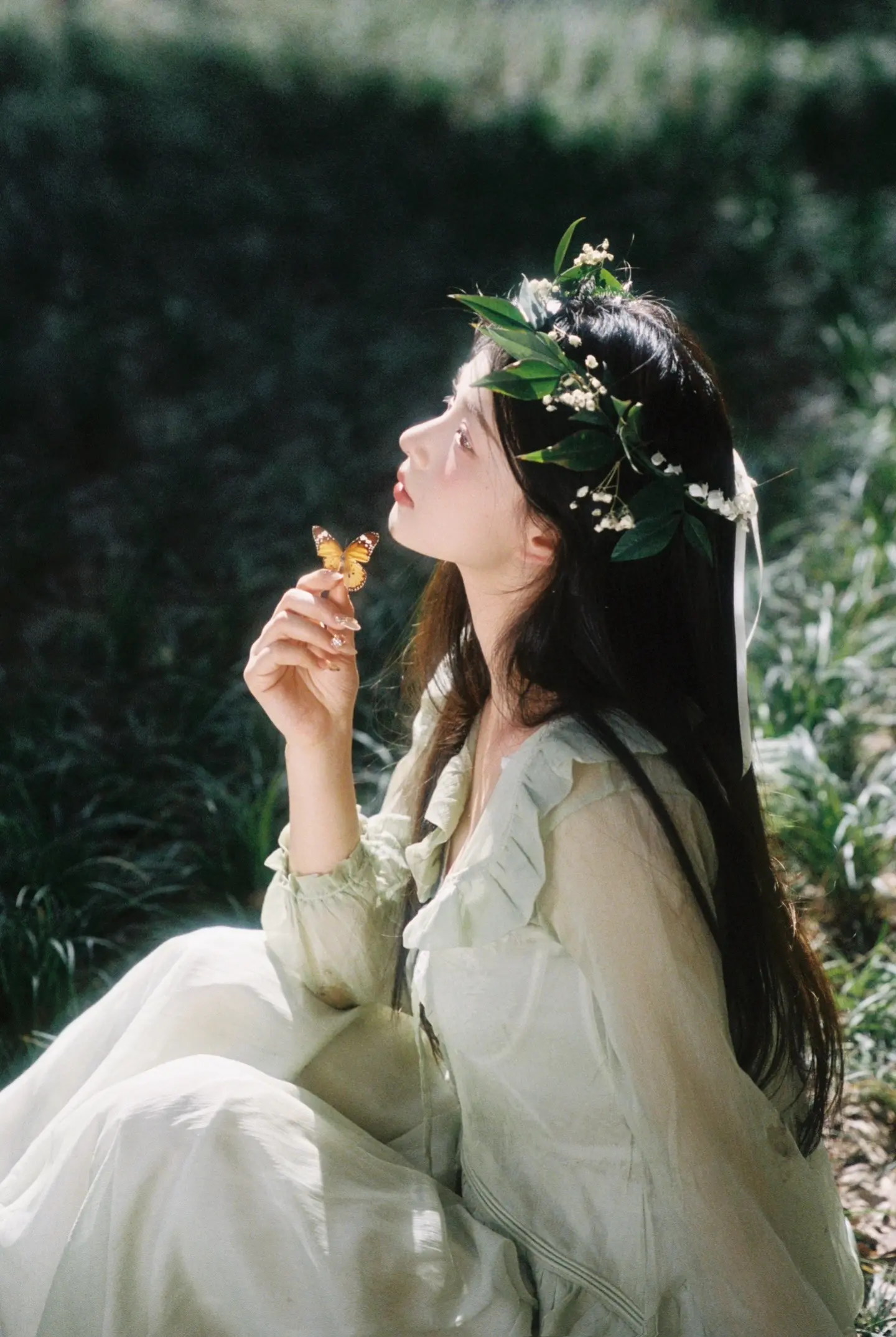 蝴蝶屿夏🌿✨🦋。