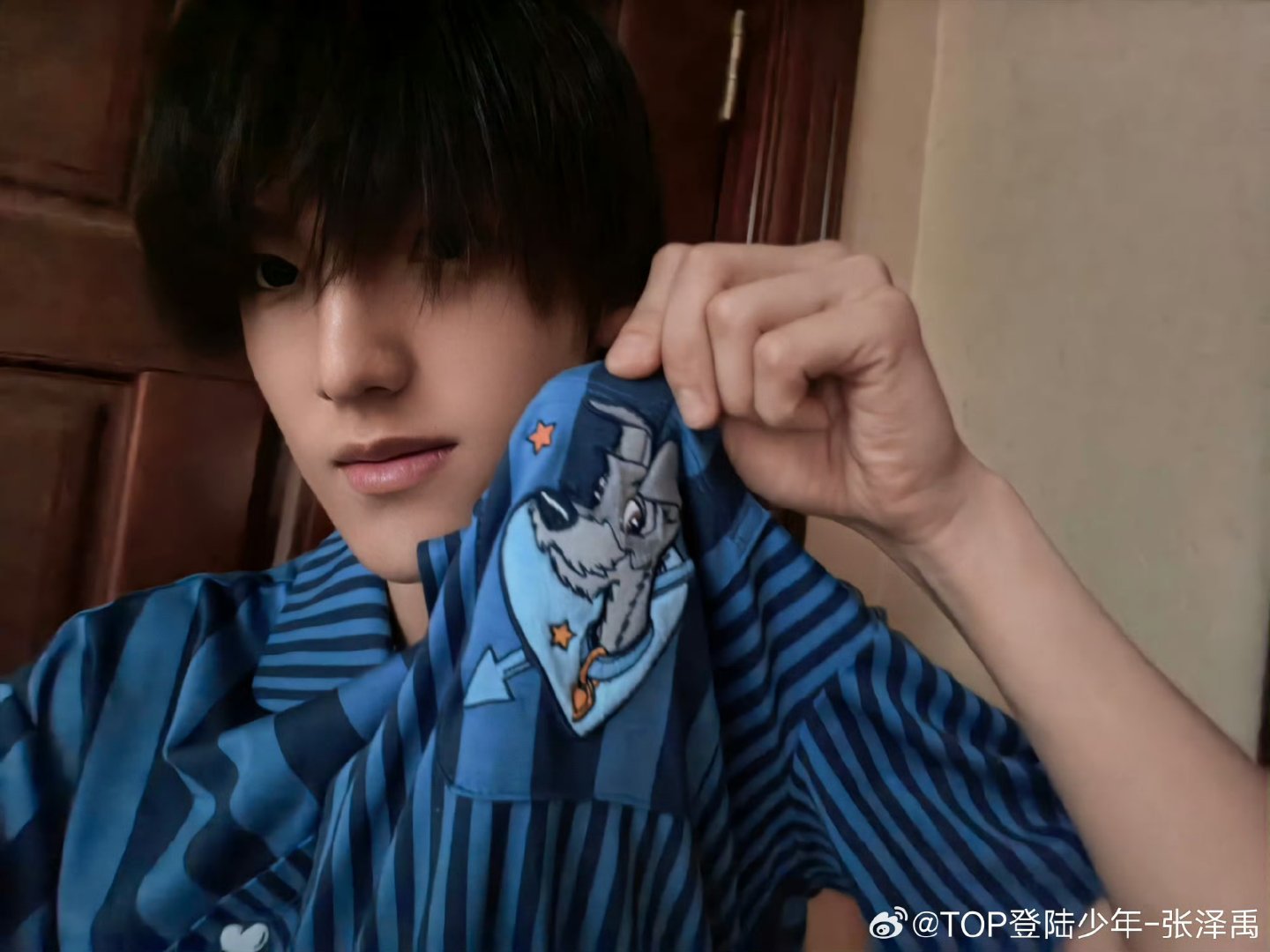 原来这只小狗是迪士尼电影《小姐与流浪汉》里的查普，有时间我一定要看看这部电影，走