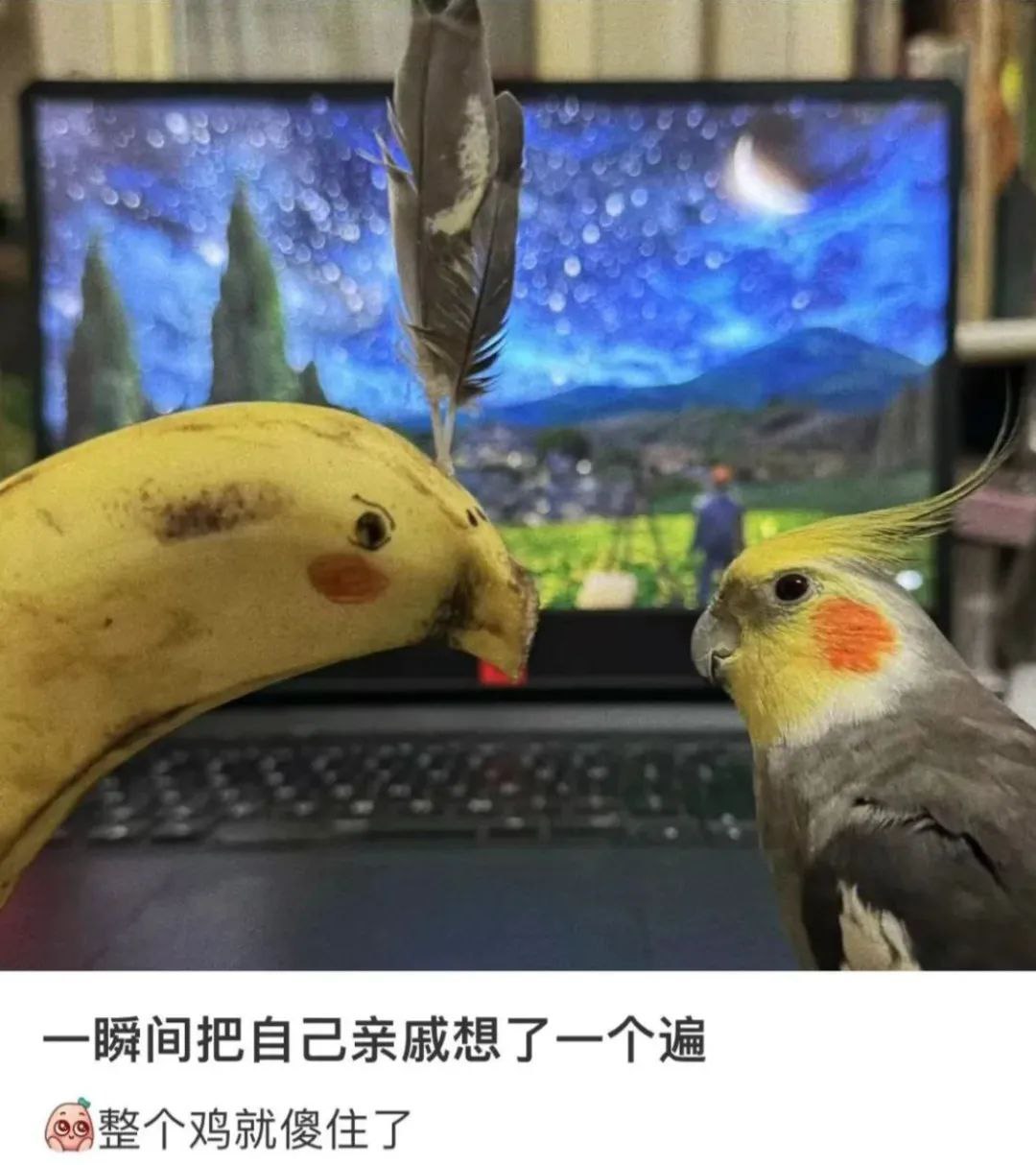 真的是一毛一样啊，估计脑子里把自己所有的亲戚都想了一遍[允悲] ​​​