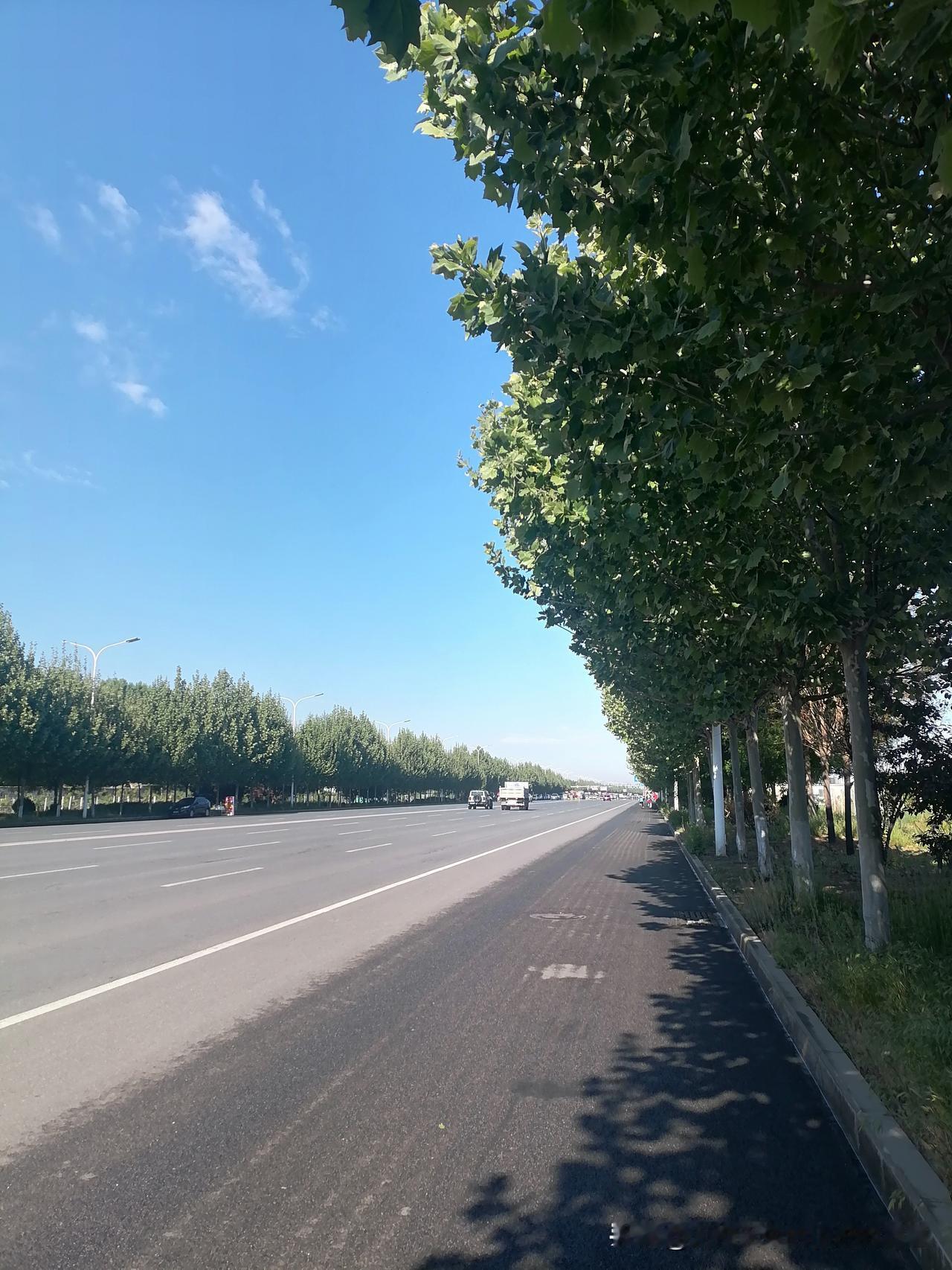 分享一下你随手拍下的照片美好的早晨，伴随着鸟语花香
