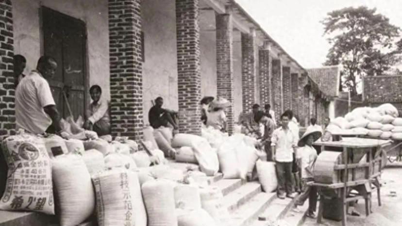不少80后90后小时候都记得交公粮那事儿，跟爸妈推着车去粮站排长队，成了抹不掉的