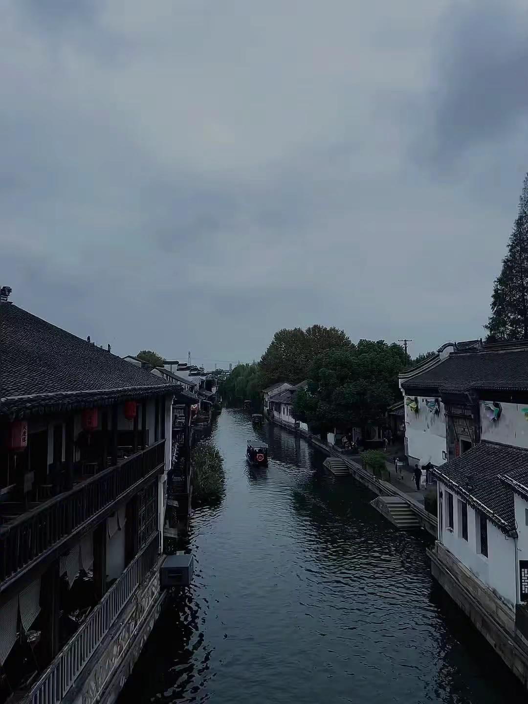 “你总是这副样子”代餐