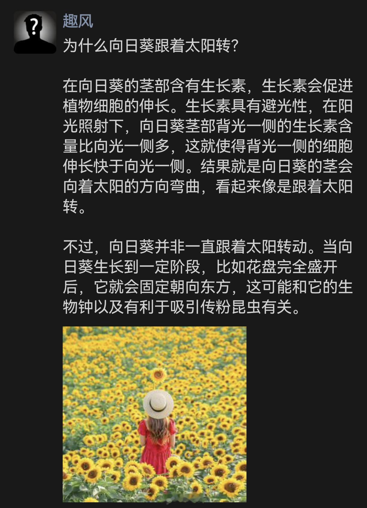 为什么向日葵跟着太阳转？ 