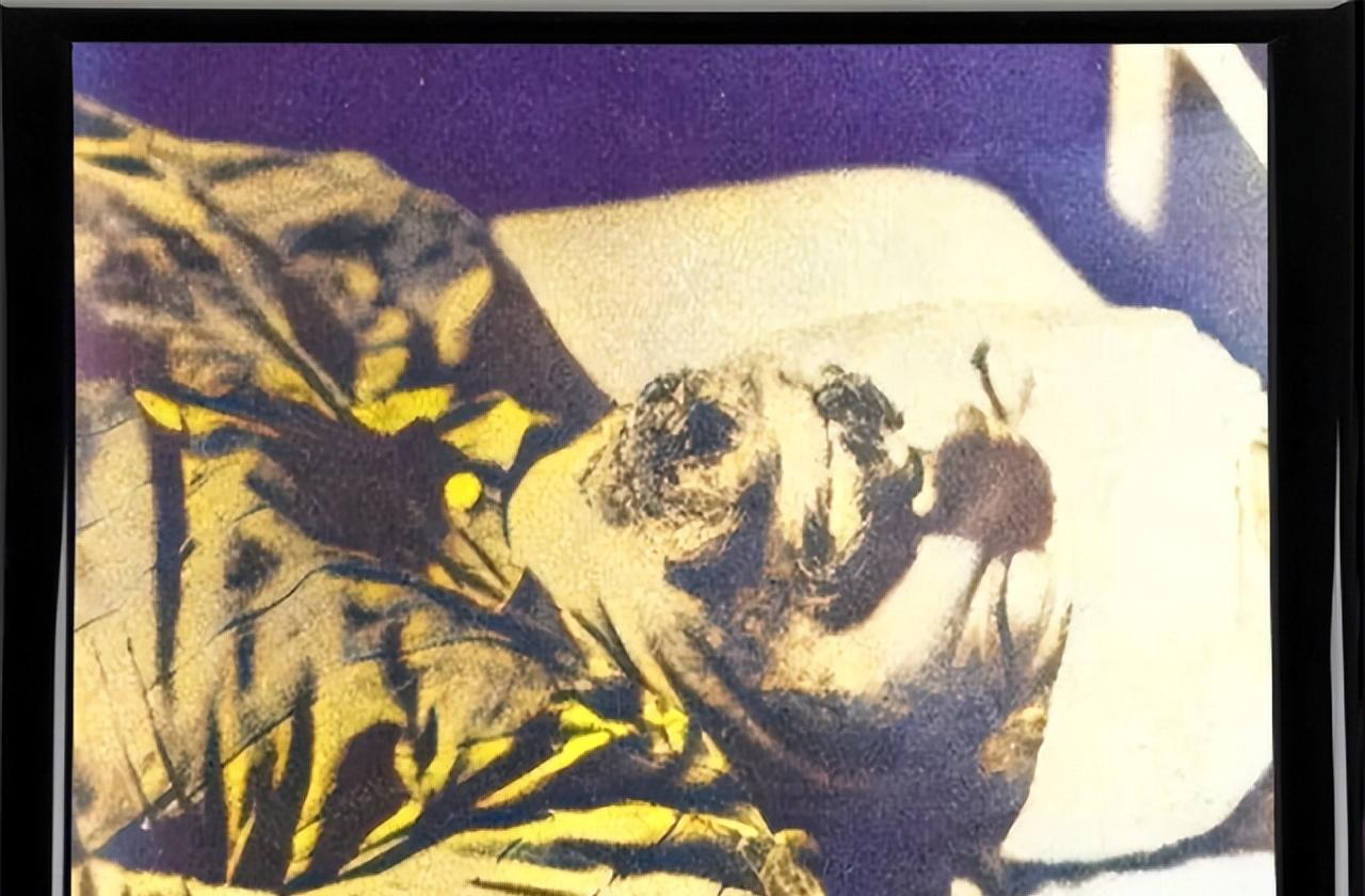 1940年8月，苏联红军总司令托洛茨基，被斯大林派出的特工暗杀在墨西哥的照片。