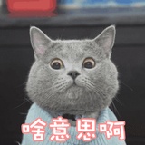 小糖热读娱乐