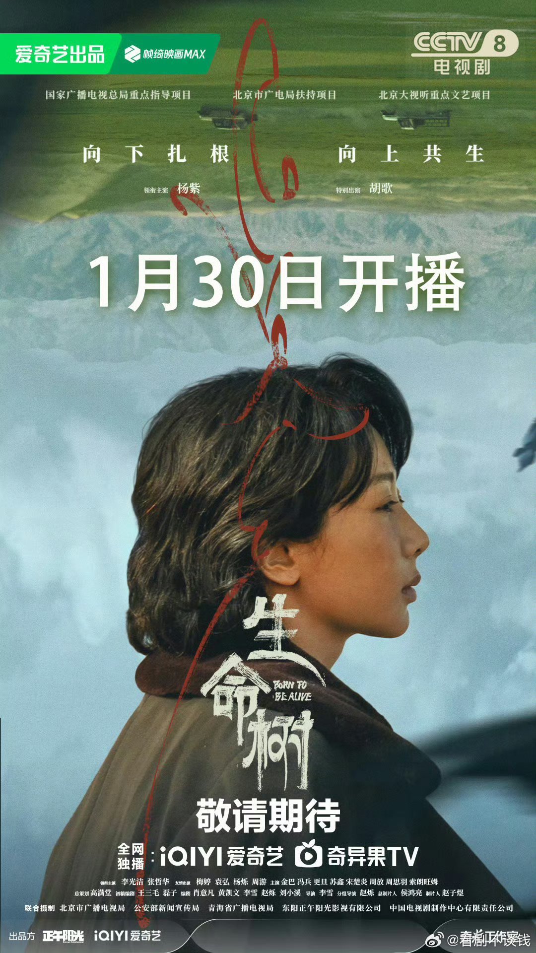 2026白玉兰预测支持三提白玉兰女主杨紫凭借2026第一口碑爆剧生命树提名并获奖