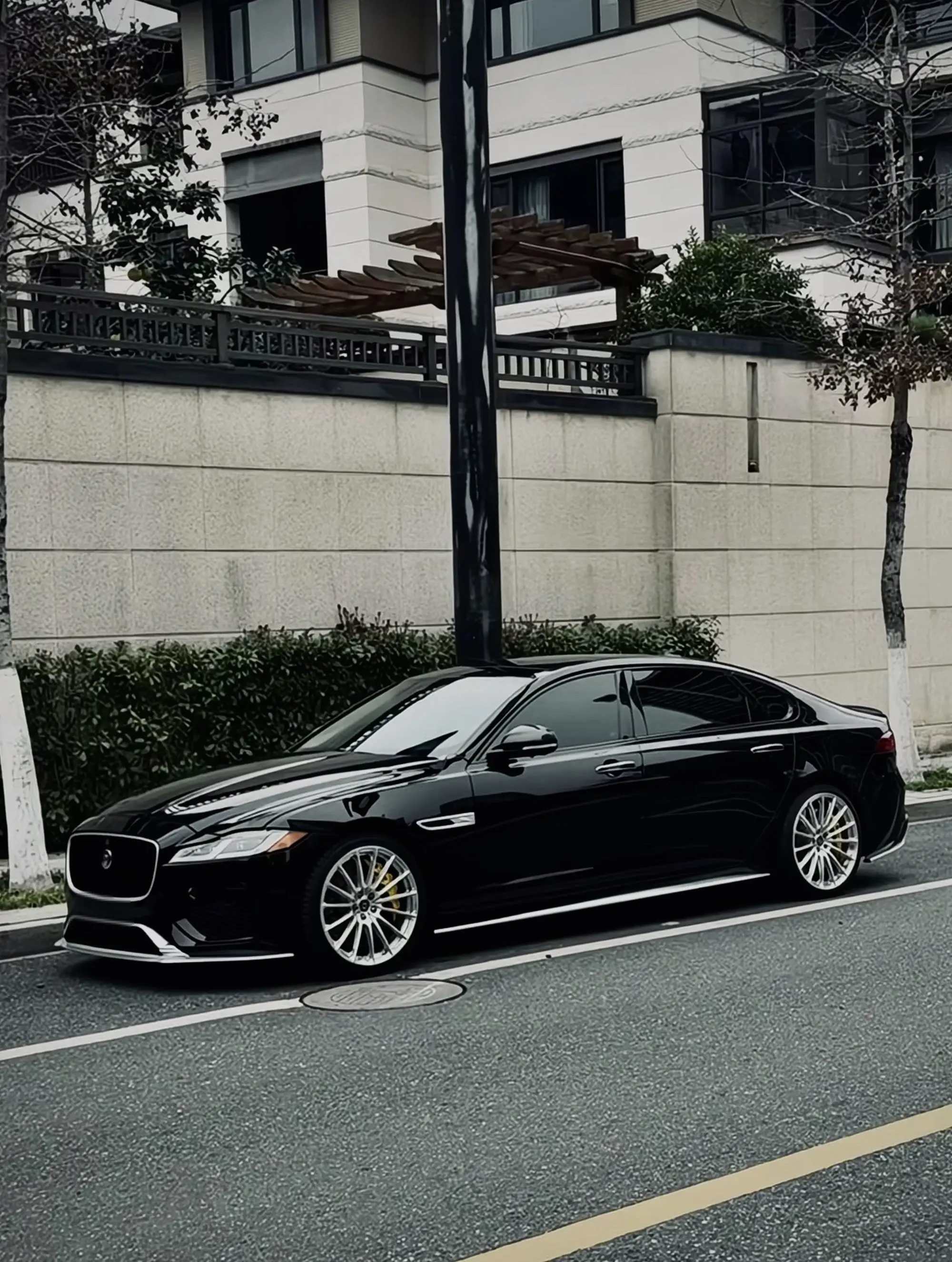 Black Jaguar Street。