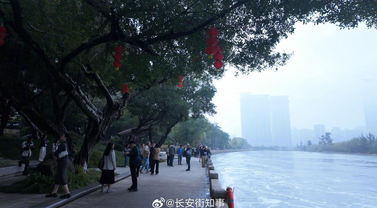 【厦门为白鹭筑了一座无人岛】感知幸福中国福建行随手拍鹭岛 

雨后初霁，筼筜湖薄