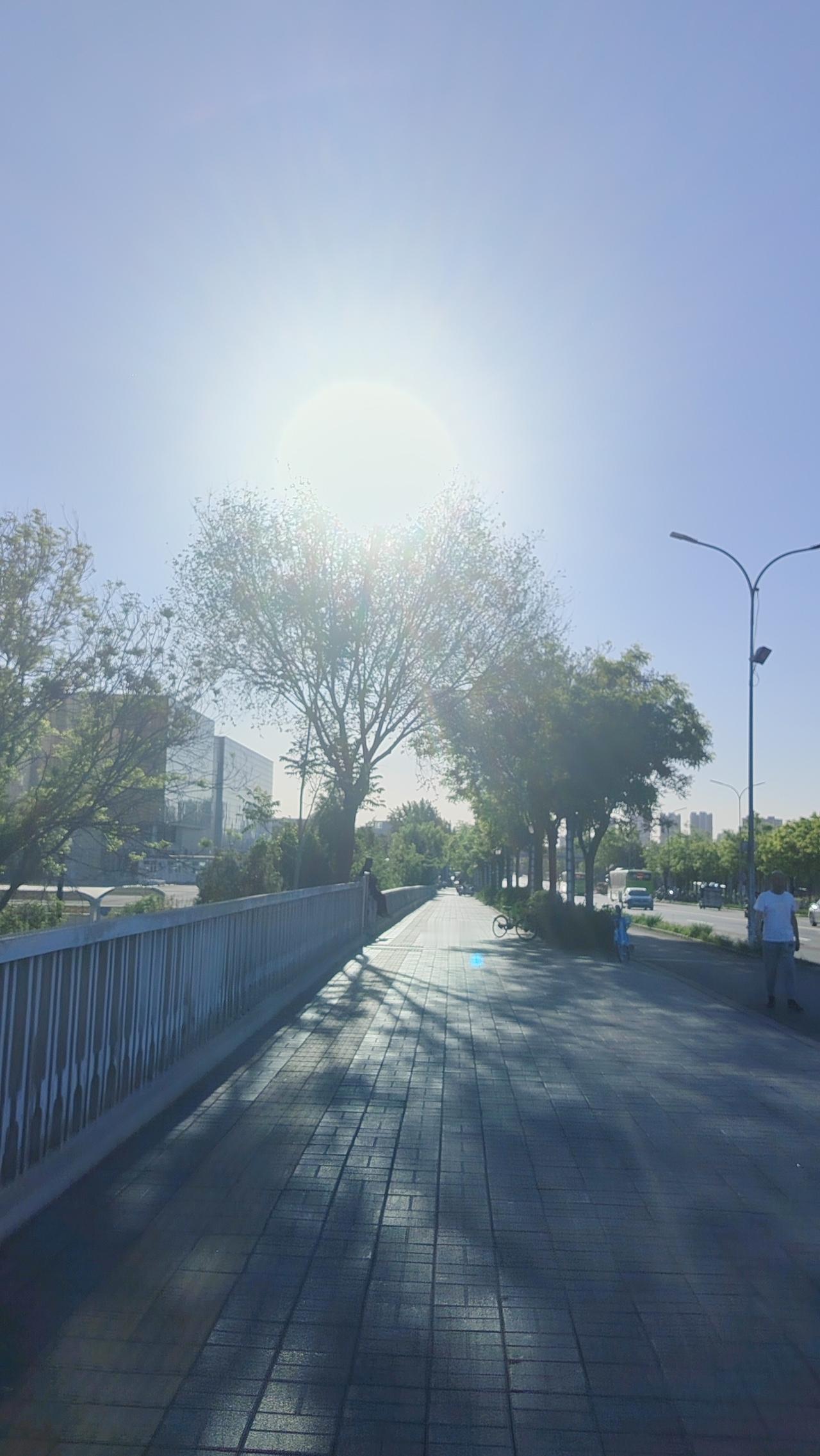 “自我超越”

警句： “不要追马，去种草；待到春暖花开，骏马自来。”

小故事