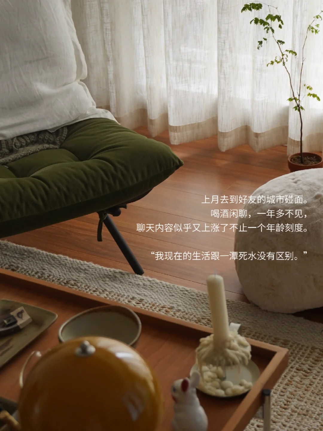 29岁i女主线任务：像植物一样地生活。