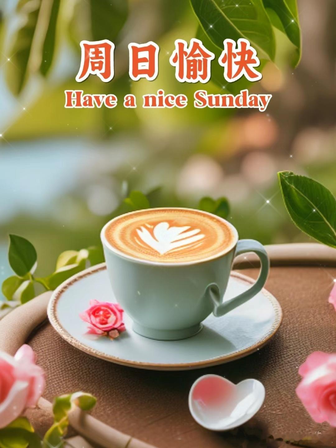 #早安# 周末愉快[鲜花][鲜花][鲜花] ​​​
