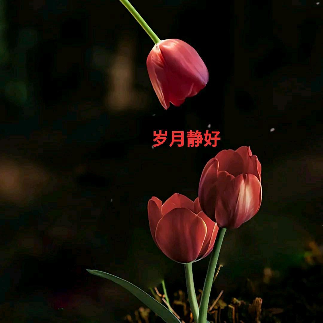 境梦
 
心灯不照昨夜梦，红尘难赋百味情。
人生在世终有定，风雨千程苦伴行