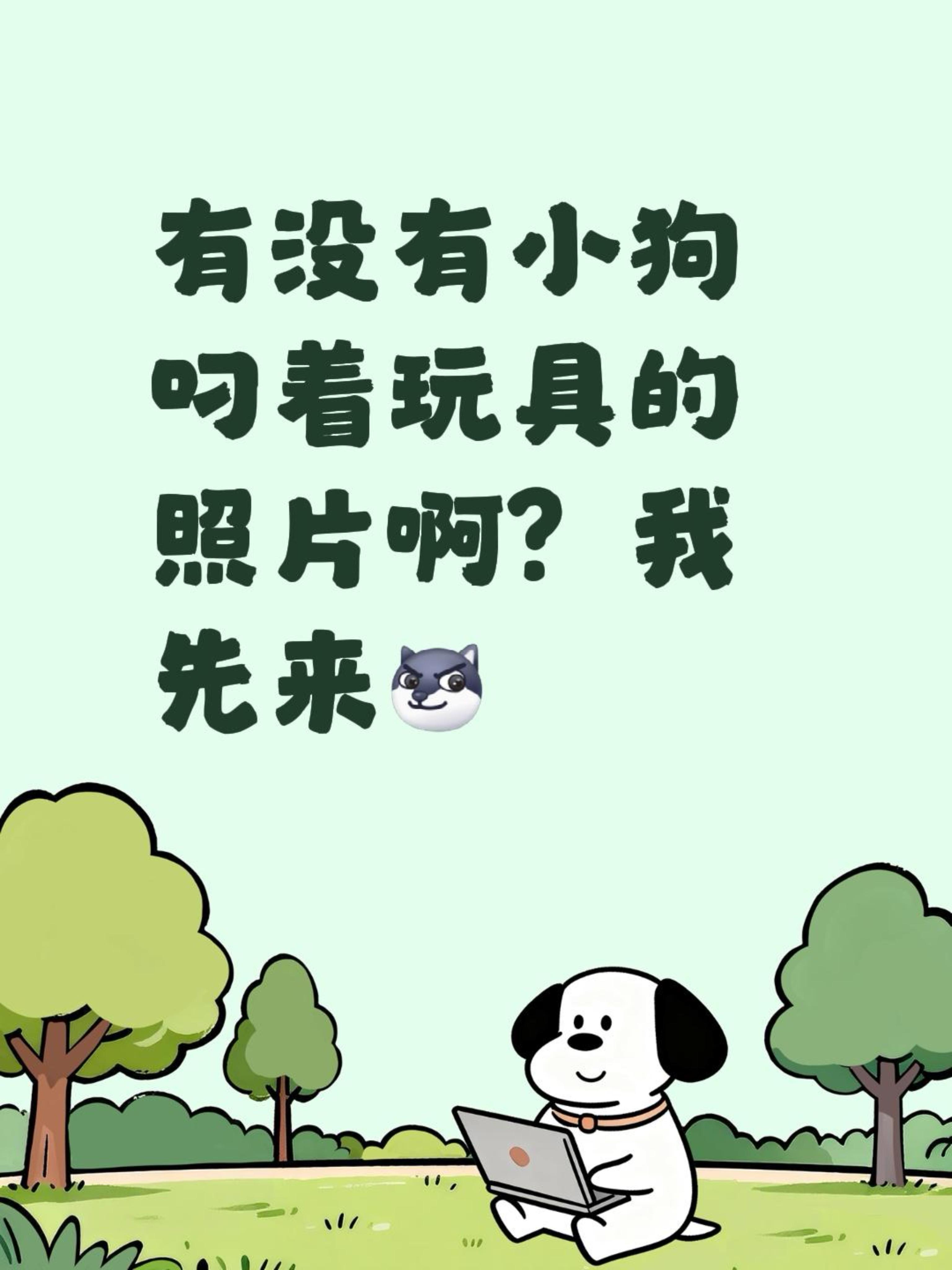 有没有小狗叼着玩具的照片啊？我先来