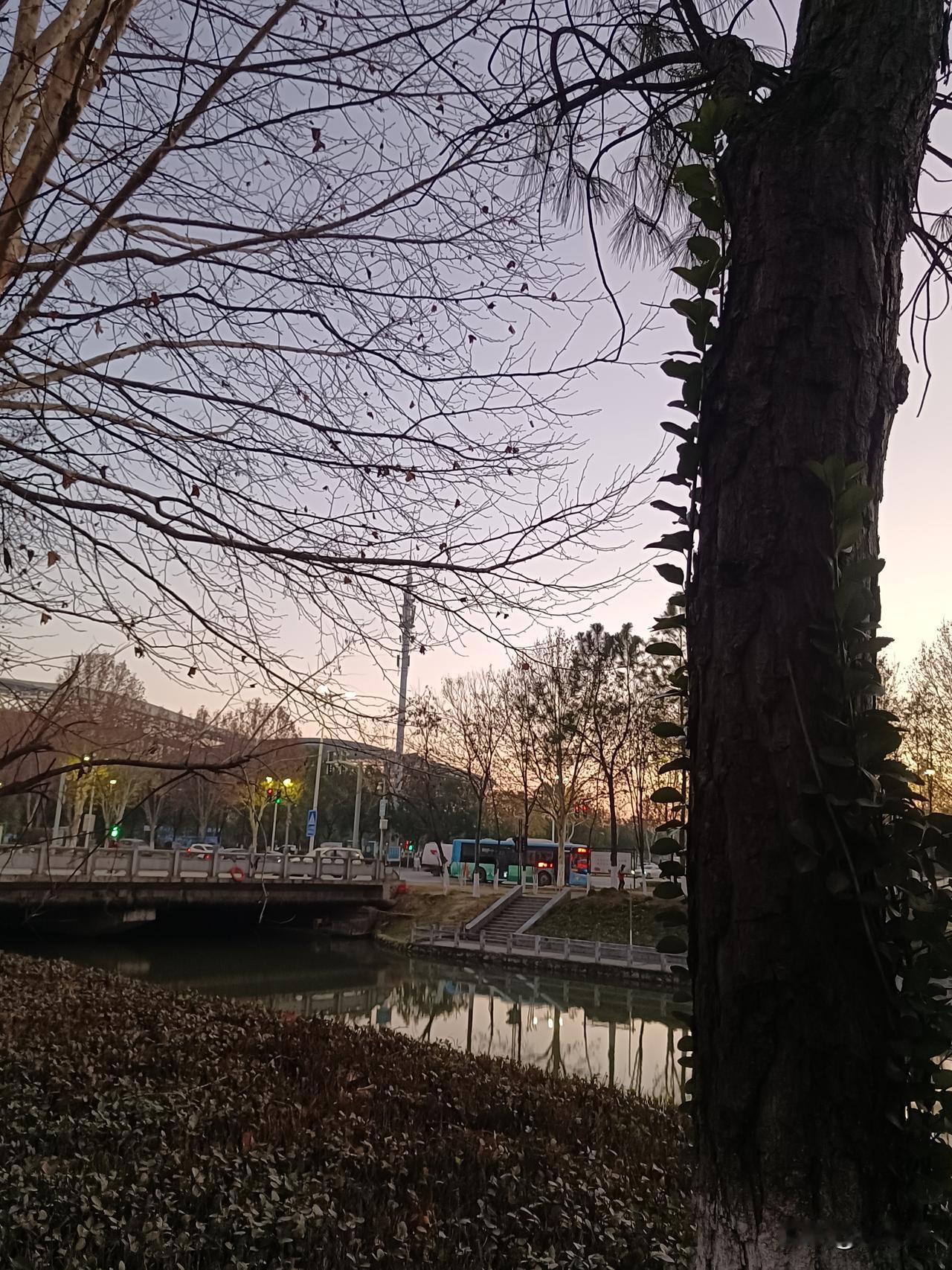 冬骨
三九天，


“霜气横空月明清，寒侵肌骨不胜清”~~袁燮《霜月》