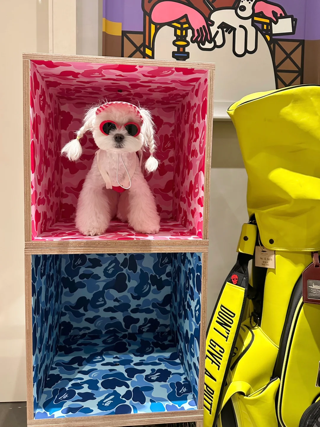 满分10分，ee们今天这套ootd给打几分？