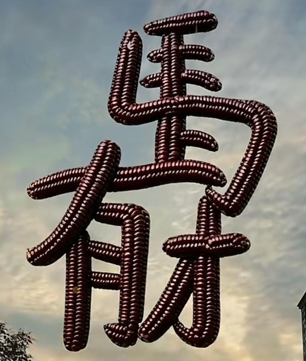 玉米拼出“好有创意”四个字。这四个字挺好。读出来，让我们实现愿望。