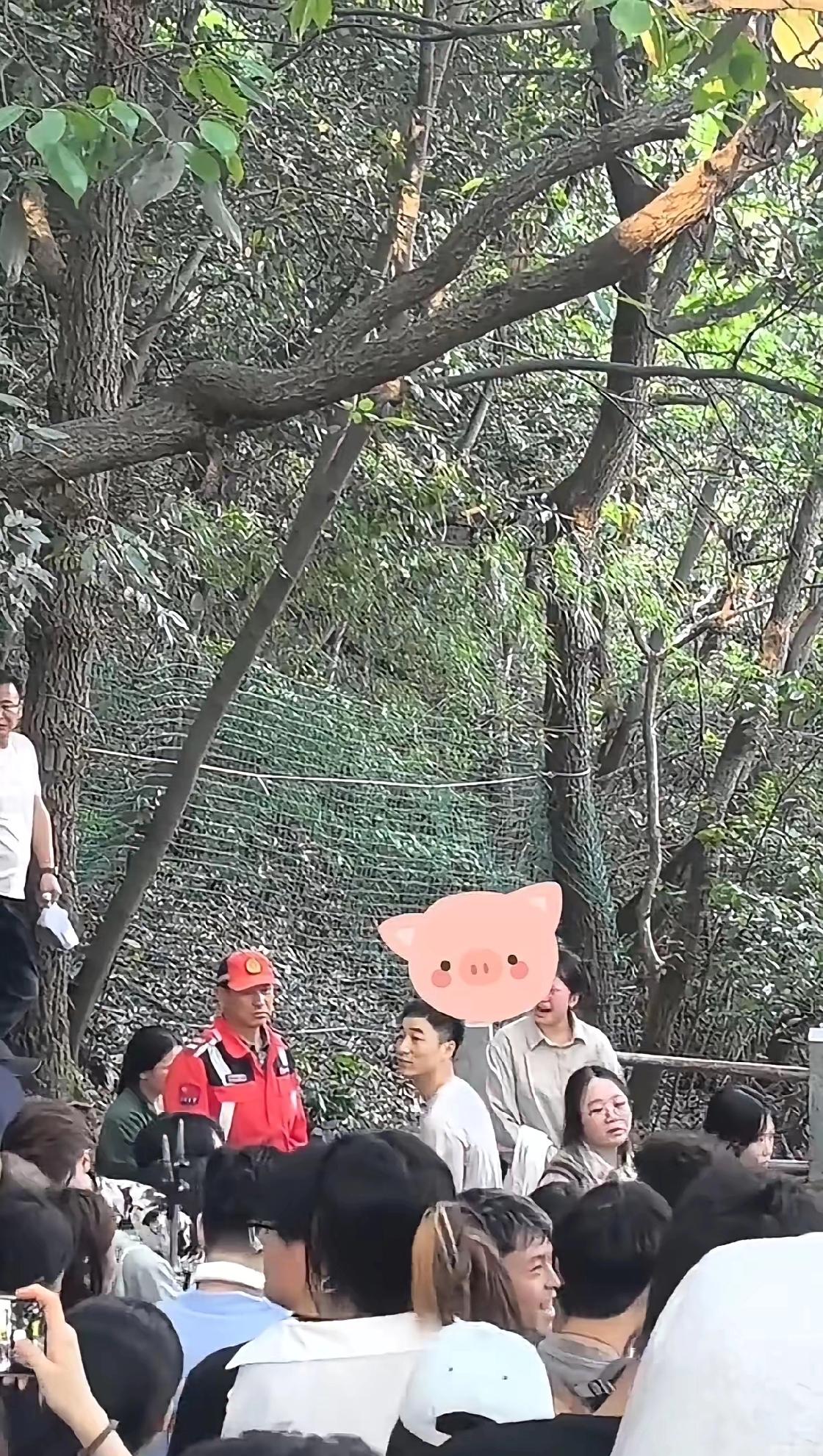 今天杭州北高峰迎来大瓜！
一个女生带着她的闺蜜爬北高峰，竟然无意间在北高峰遇见了