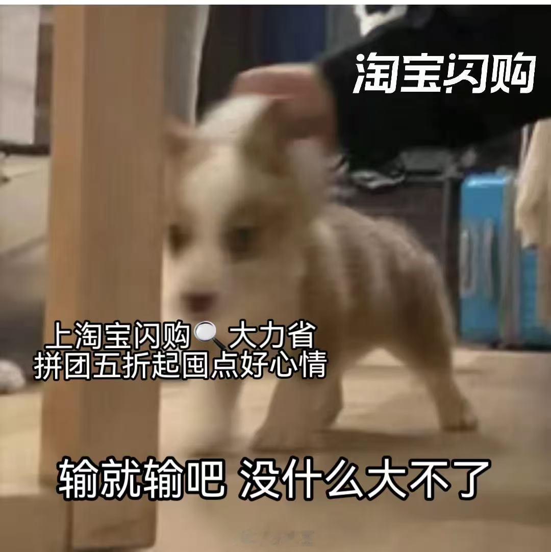 美加墨你以为的加是哪个加 纠结半天美加墨，结果主打一个漠不关心。比起地理知识，我