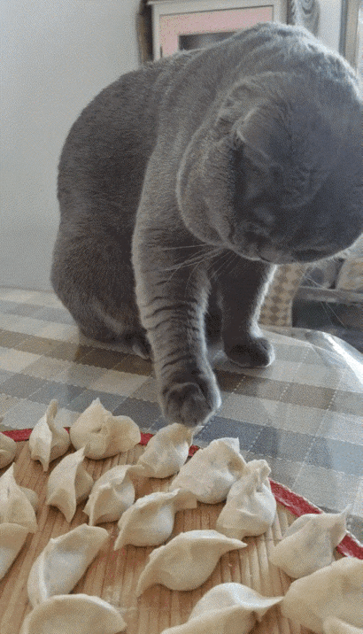 喵星人：你看好了，这不是我弄的哈。