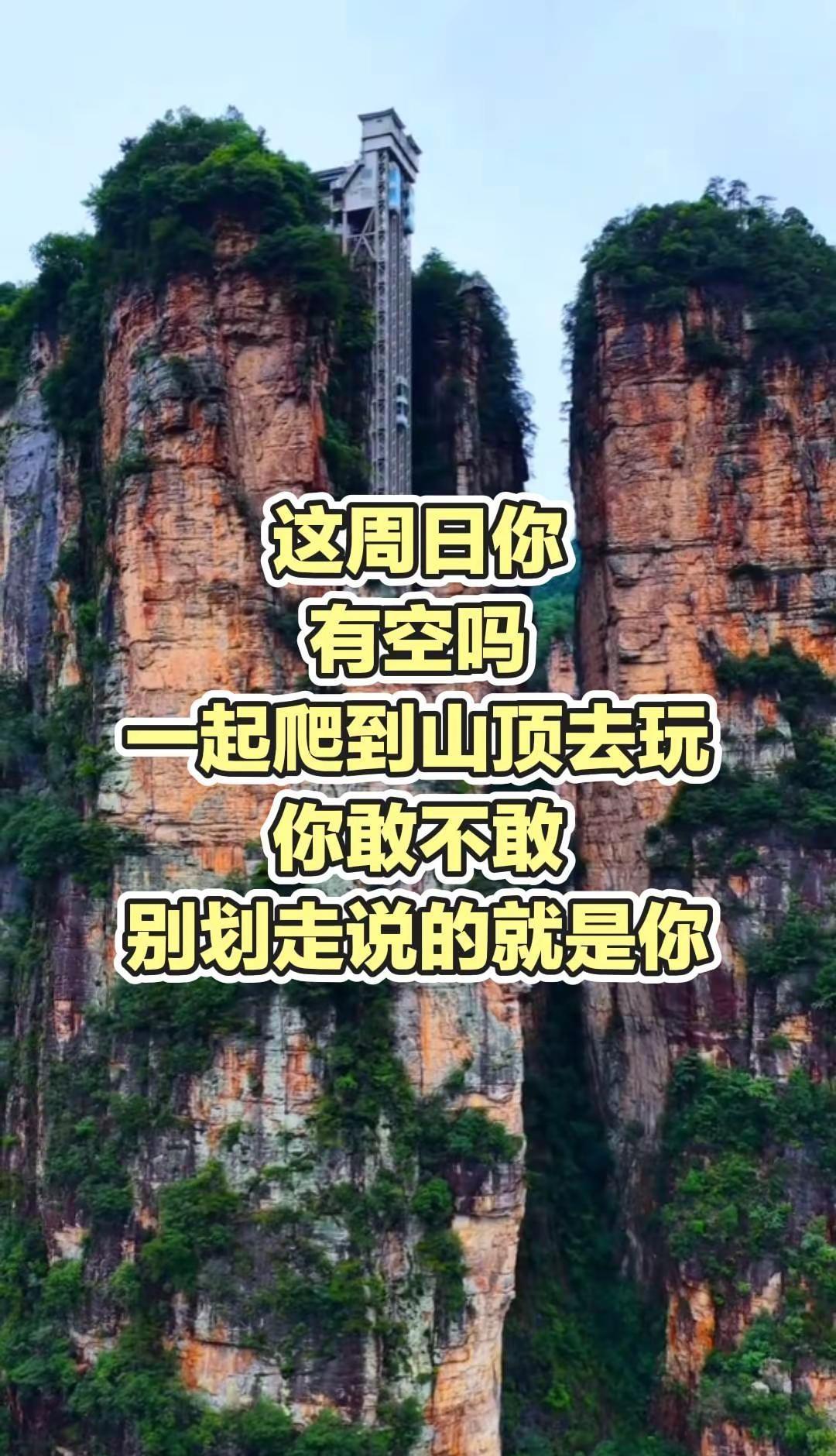 爬山 周日一起去爬山你敢不敢