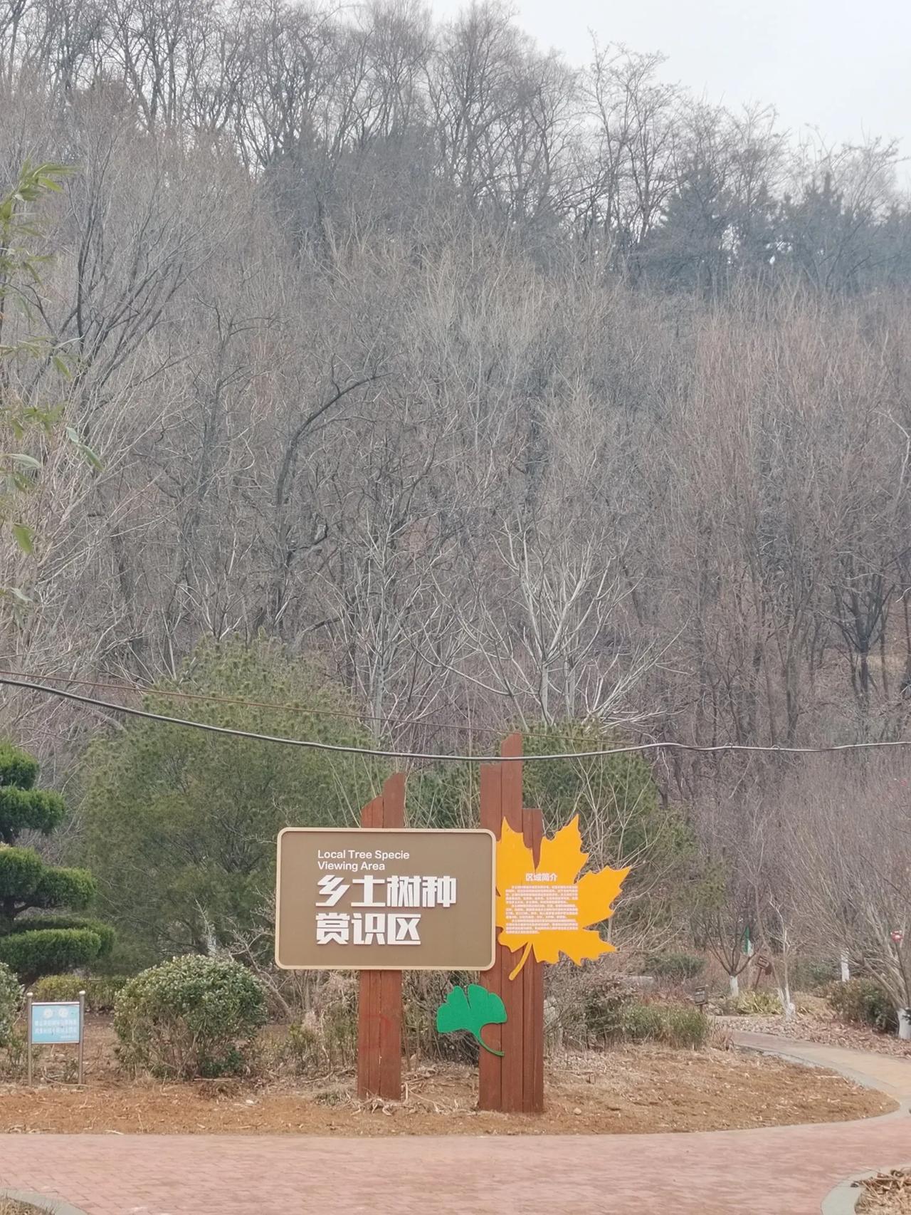 我们的太阳爷爷时隐时现[大笑][赞][赞][赞]