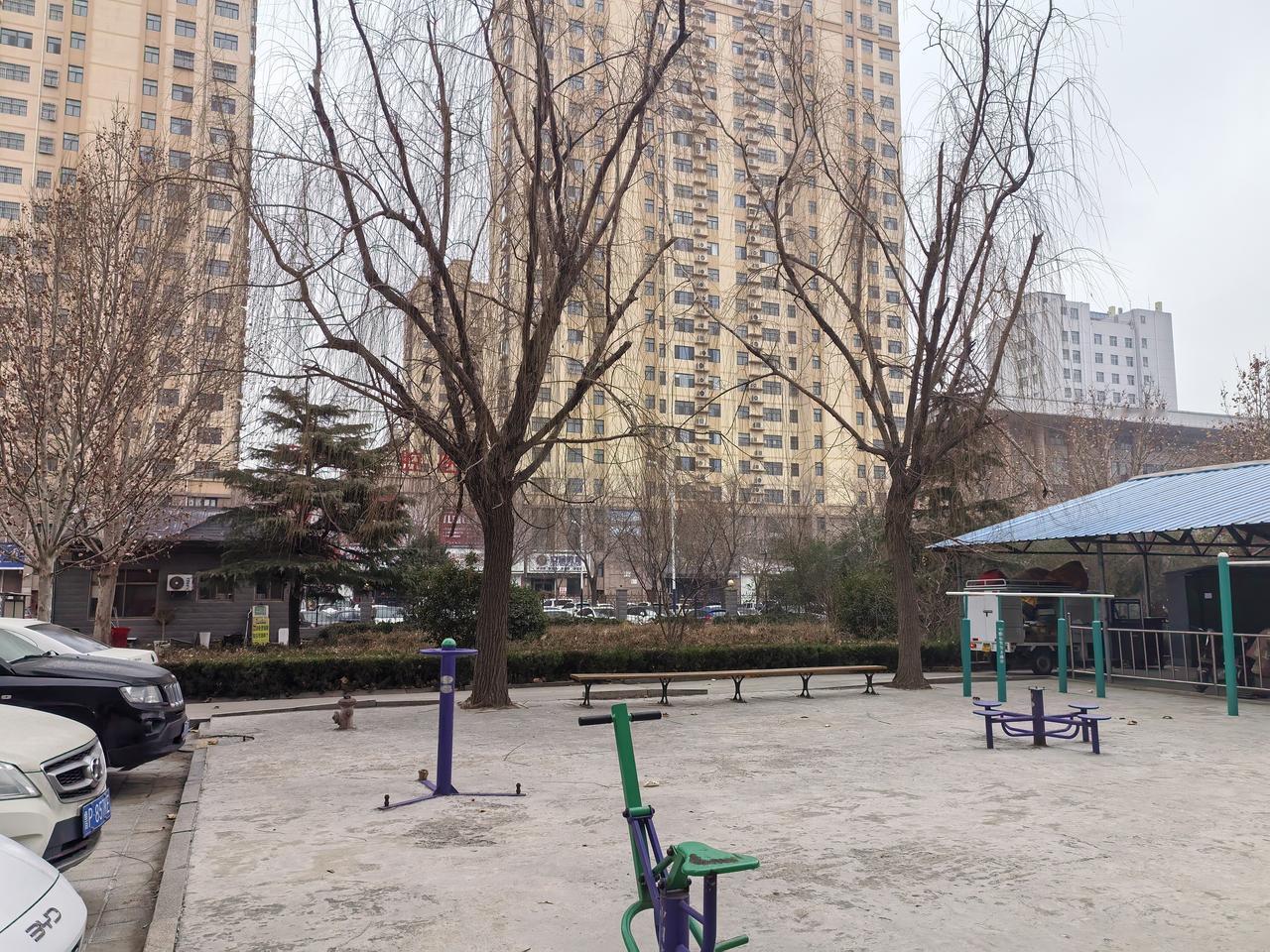 时至四九要下雪
空中零星飘花朵
但愿来场大雪飘
过滤空气环境好
下了大雪润冬禾