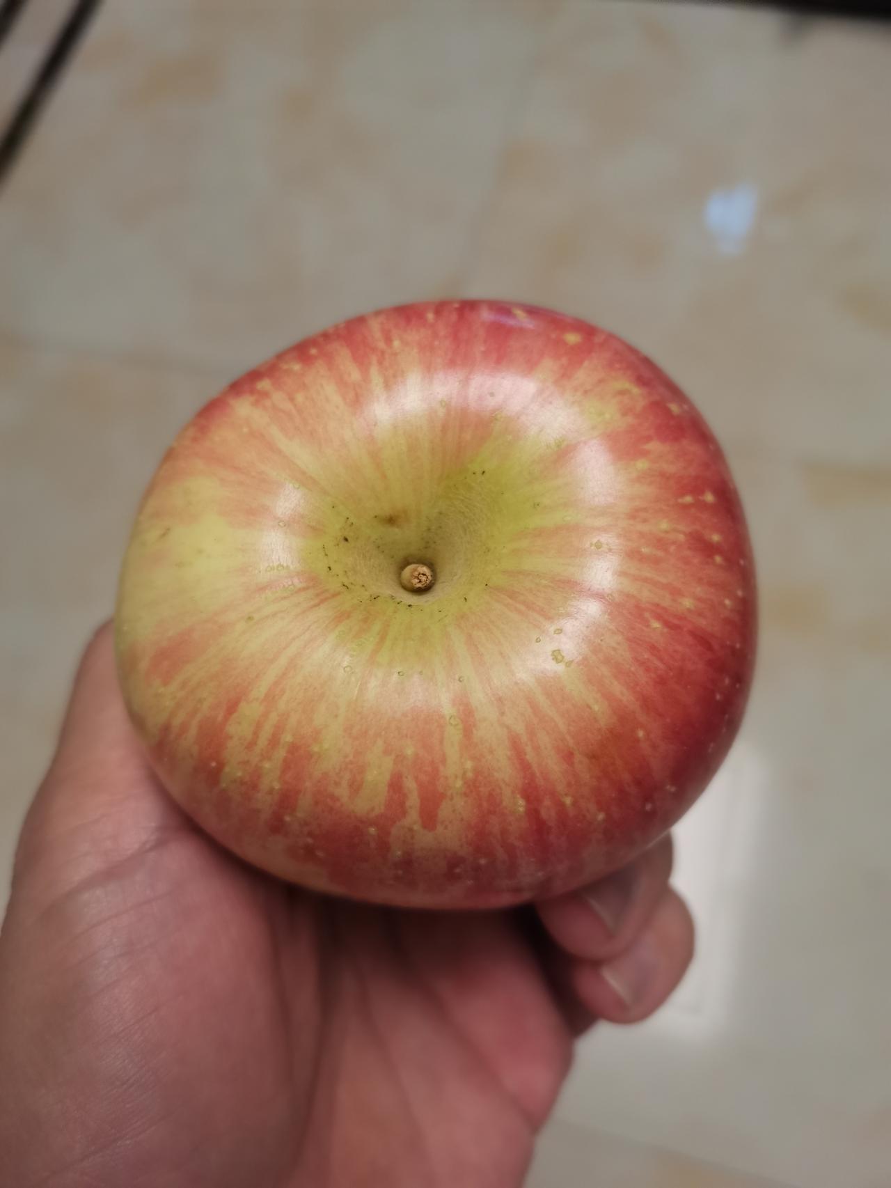 一颗包含孝心的苹果
 
儿子放学背回家的书包里，总藏着他的“秘密”。
 
今天是