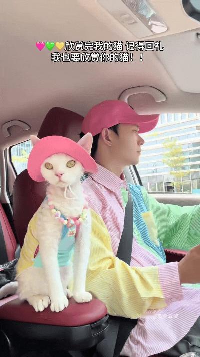 俺嘞乖乖，这小猫也太享福了吧！
主人出门兜风，天天都给小猫精心打扮，俩人穿搭一模