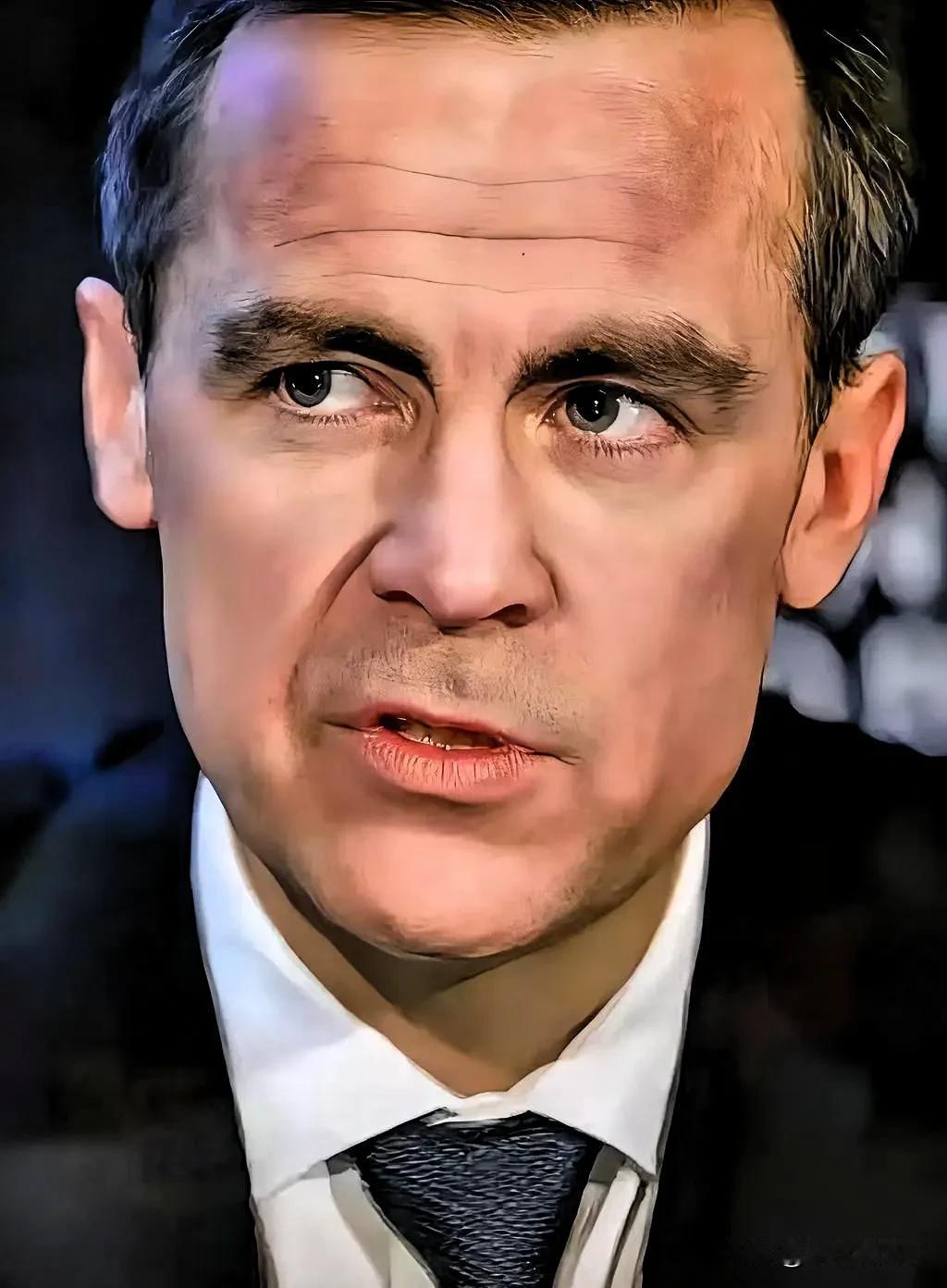 快讯！快讯！

    加拿大总理正式宣布！

加拿大总理卡尼于11月4日公布了