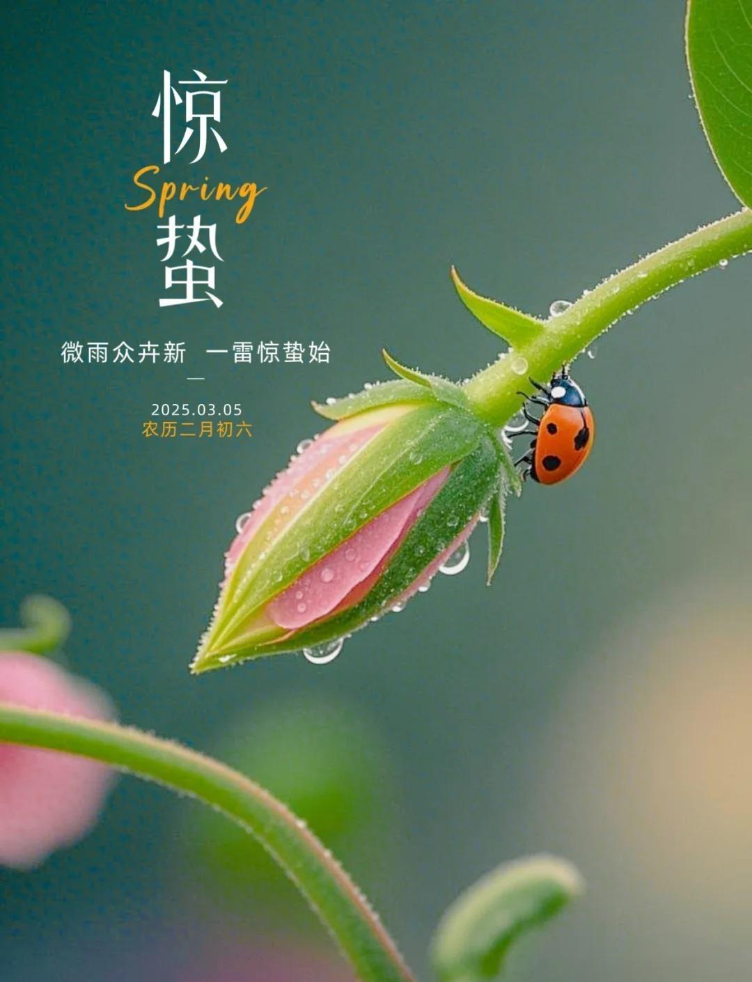 今日惊蛰，曾经让学生娃搜集并读背的惊蛰节气10条谚语与10条诗句。

惊蛰，是二